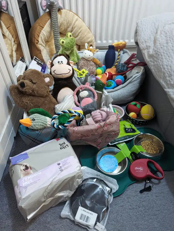 Dog toys, beds, and other accessories for a puppy.