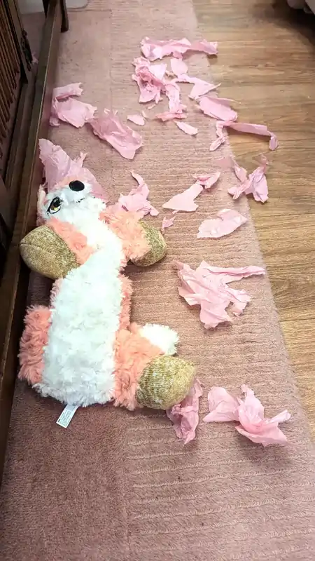 A dog toy and bits of gift wrap scattered on the carpet.